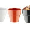 Flower Pot
