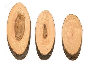 Oval Bark Platter