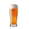 Beer Tumbler Glass 300ml